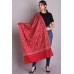 Pashmina Hand Embroidered Stoles