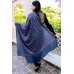 Pashmina Hand Embroidered Shawls