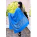 Pashmina Hand Embroidered Shawls