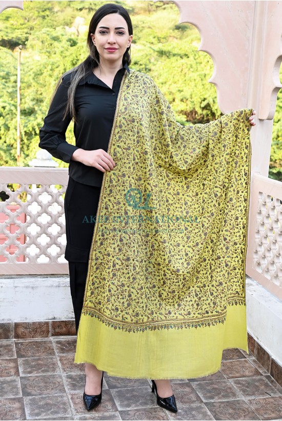 Pashmina Hand Embroidered Shawls