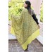Pashmina Hand Embroidered Shawls