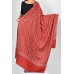 Pashmina Hand Embroidered Shawls