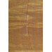 Pashmina Hand Woven Scarfs