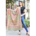 Pashmina Hand Embroidered Shawls