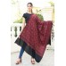 Pashmina Hand Embroidered Shawls