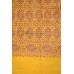 Pashmina Hand Embroidered Shawls