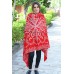 Pashmina Hand Embroidered Shawls
