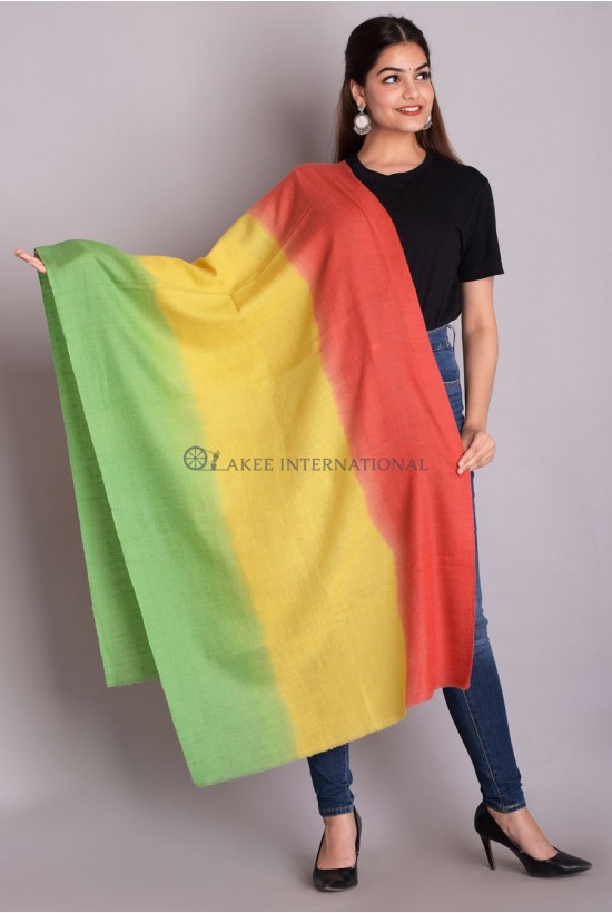 Pashmina Tye Dye Scarfs